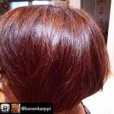 Organic Hair Color