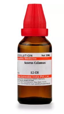 Dr. Willmar Schwabe India Acorus Calamus Mother Tincture Q