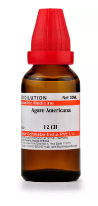 Willmar Schwabe India Agave Americana 30 CH (30ml)