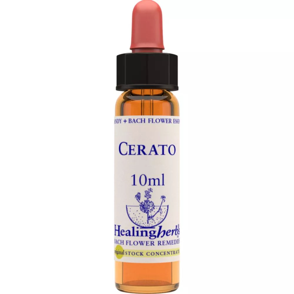 Healing Herbs Cerato