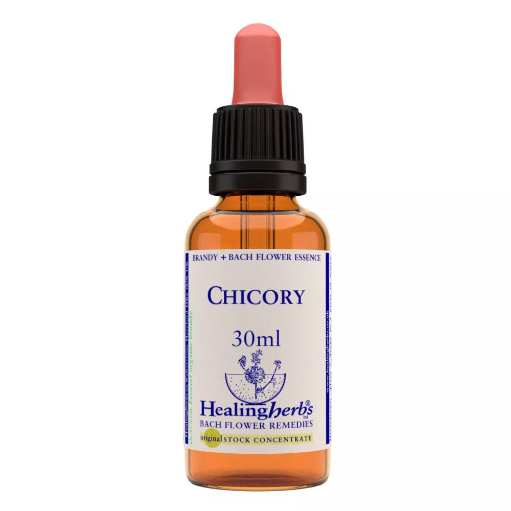 Healing Herbs Chicory
