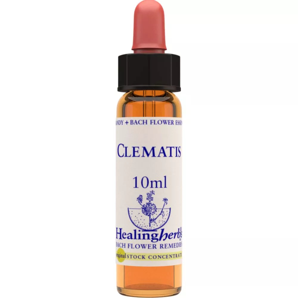 Healing Herbs Clematis