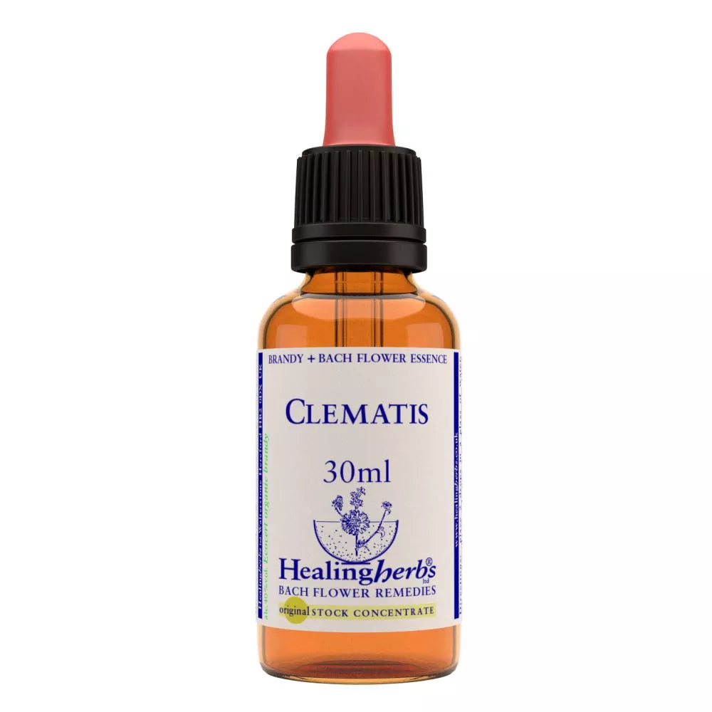Healing Herbs Clematis