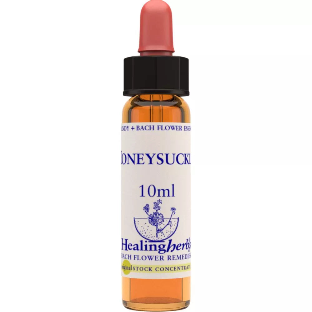 Healing Herbs Honeysuckle