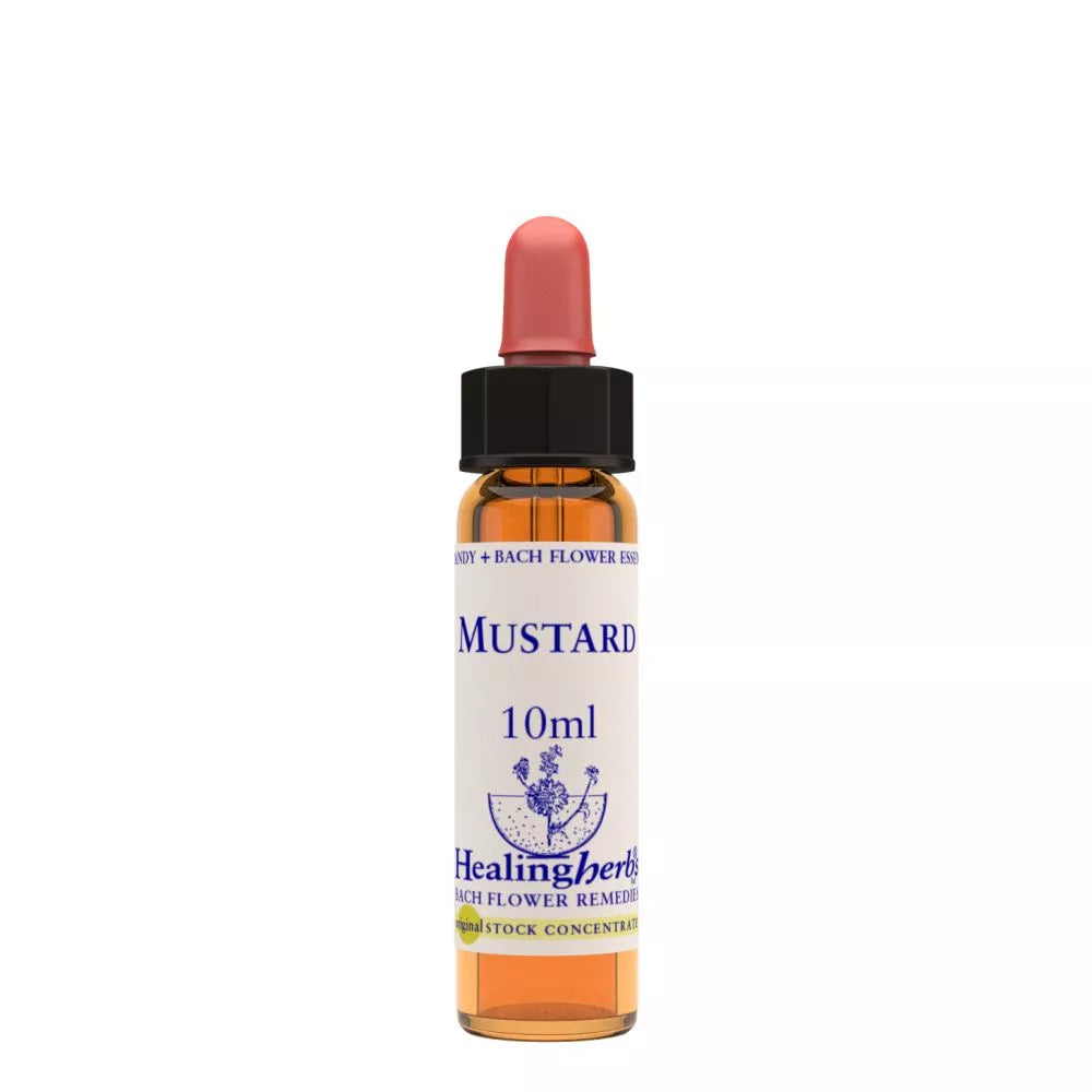 Healing Herbs Mustard