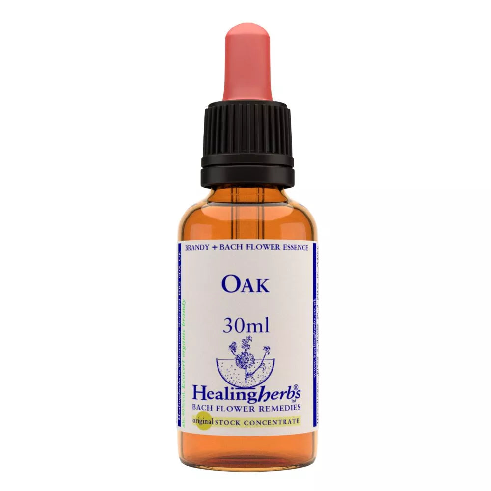 Healing Herbs Oak