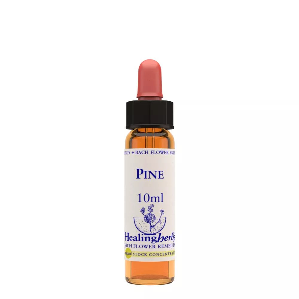 Healing Herbs Pine