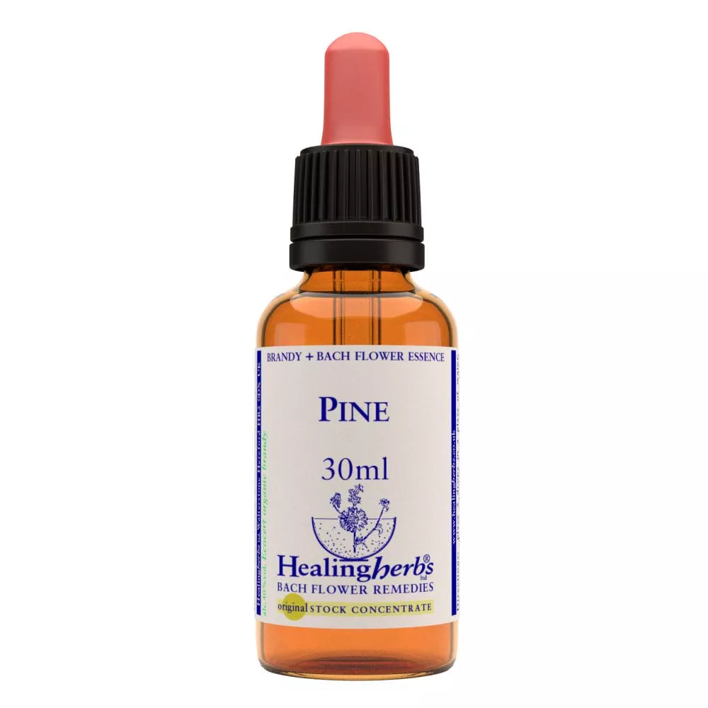 Healing Herbs Pine