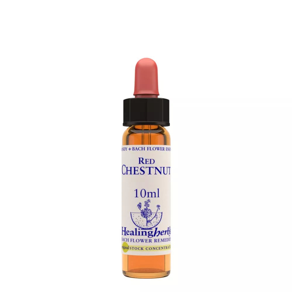 Healing Herbs Red Chestnut