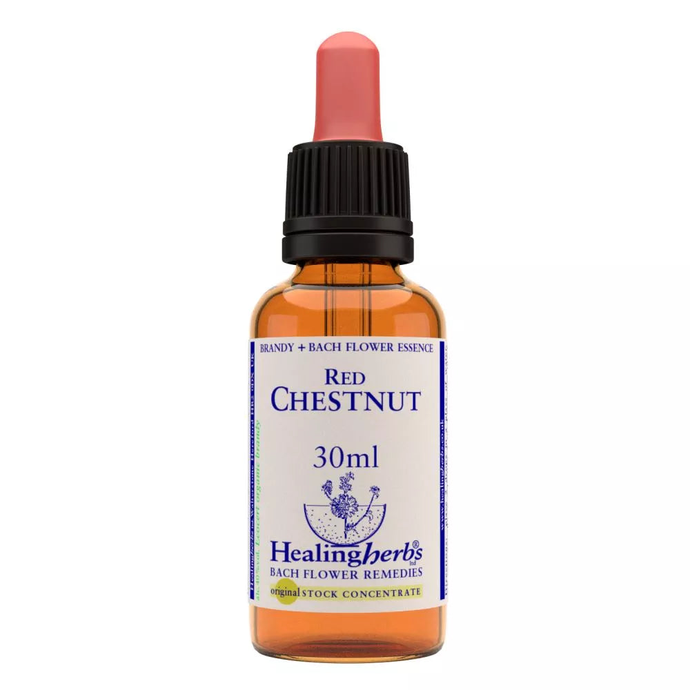 Healing Herbs Red Chestnut