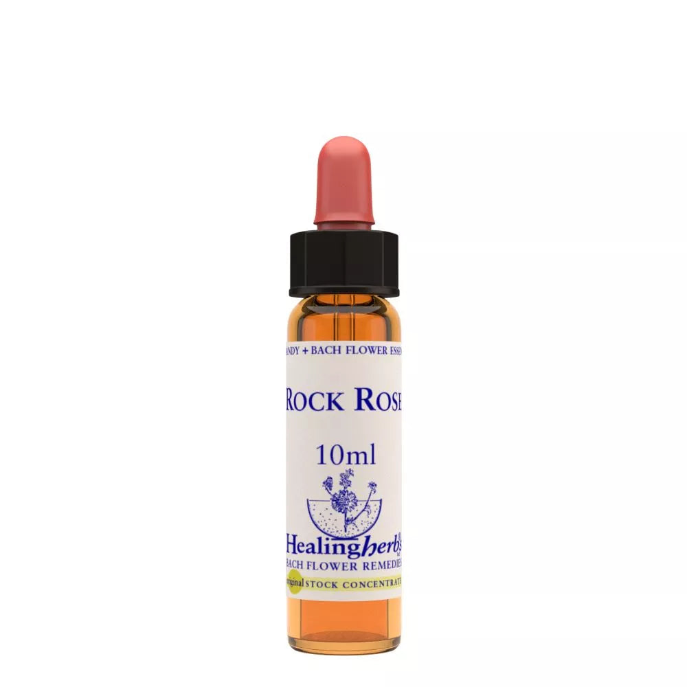 Healing Herbs Rock Rose