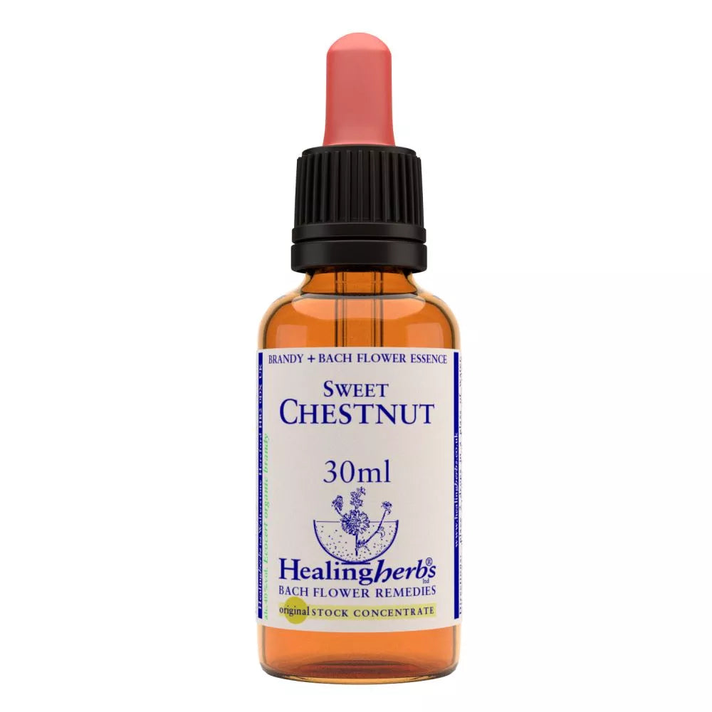 Healing Herbs Sweet Chestnut