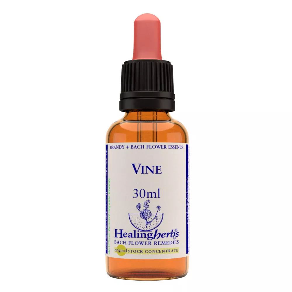 Healing Herbs Vine