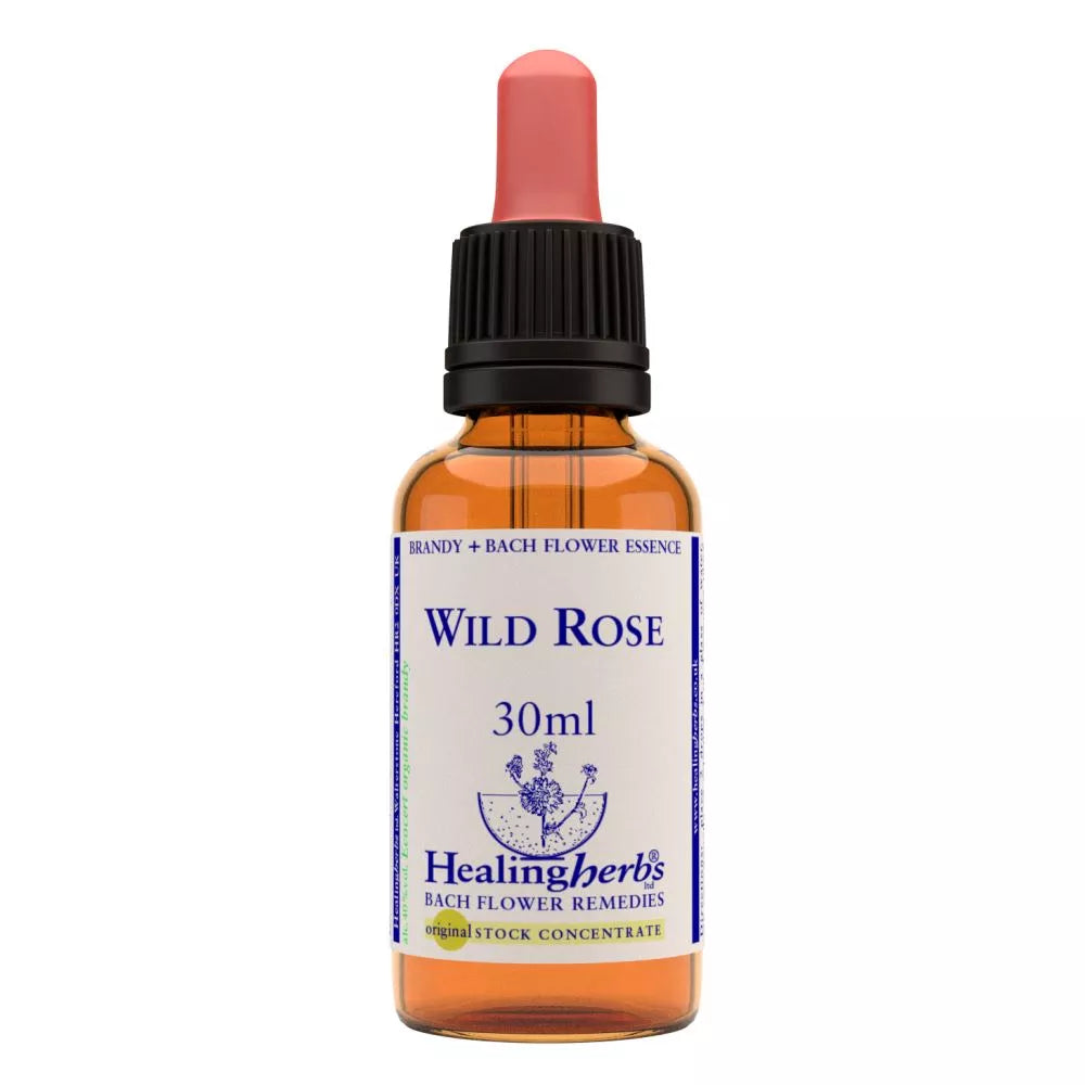 Healing Herbs Wild Rose