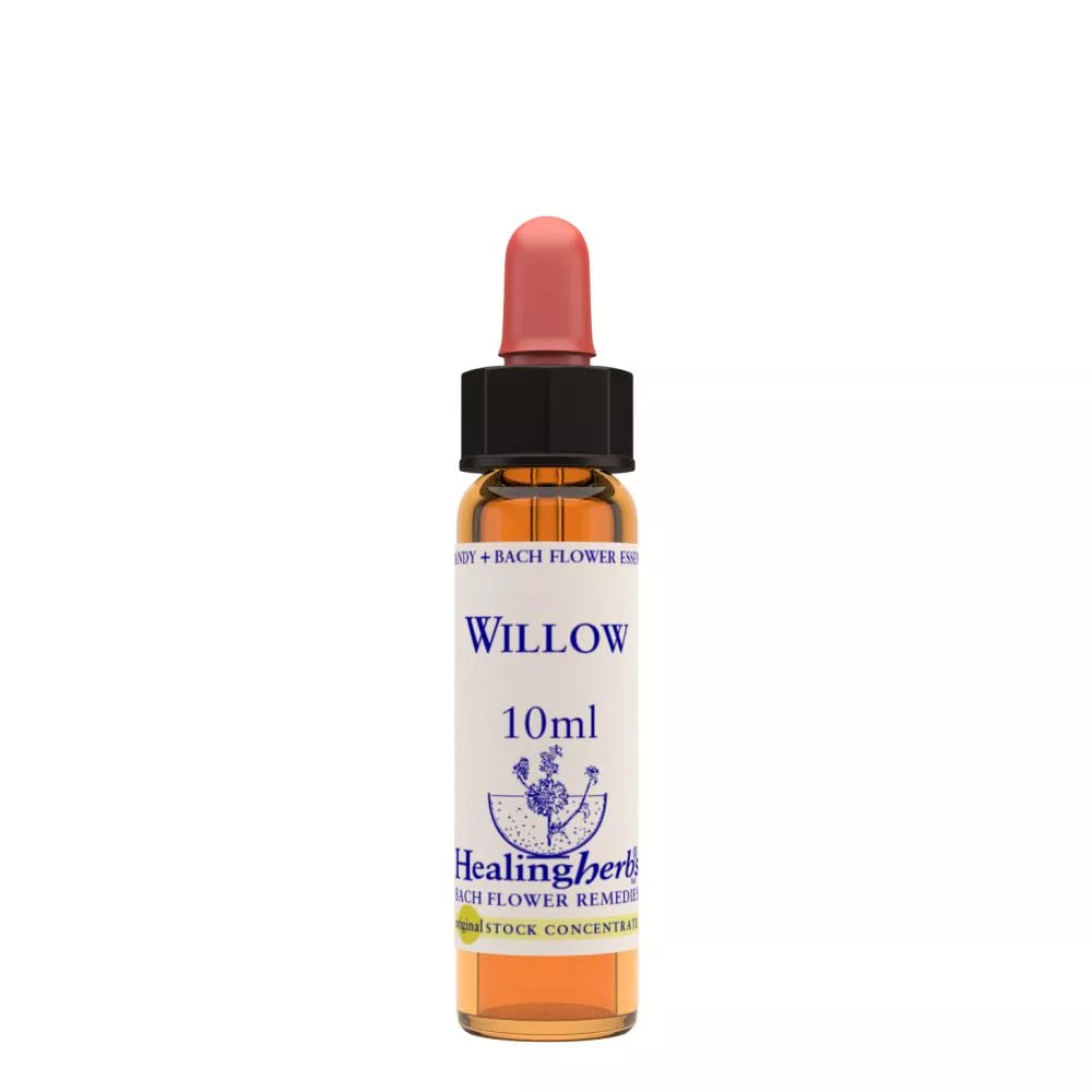 Healing Herbs Willow