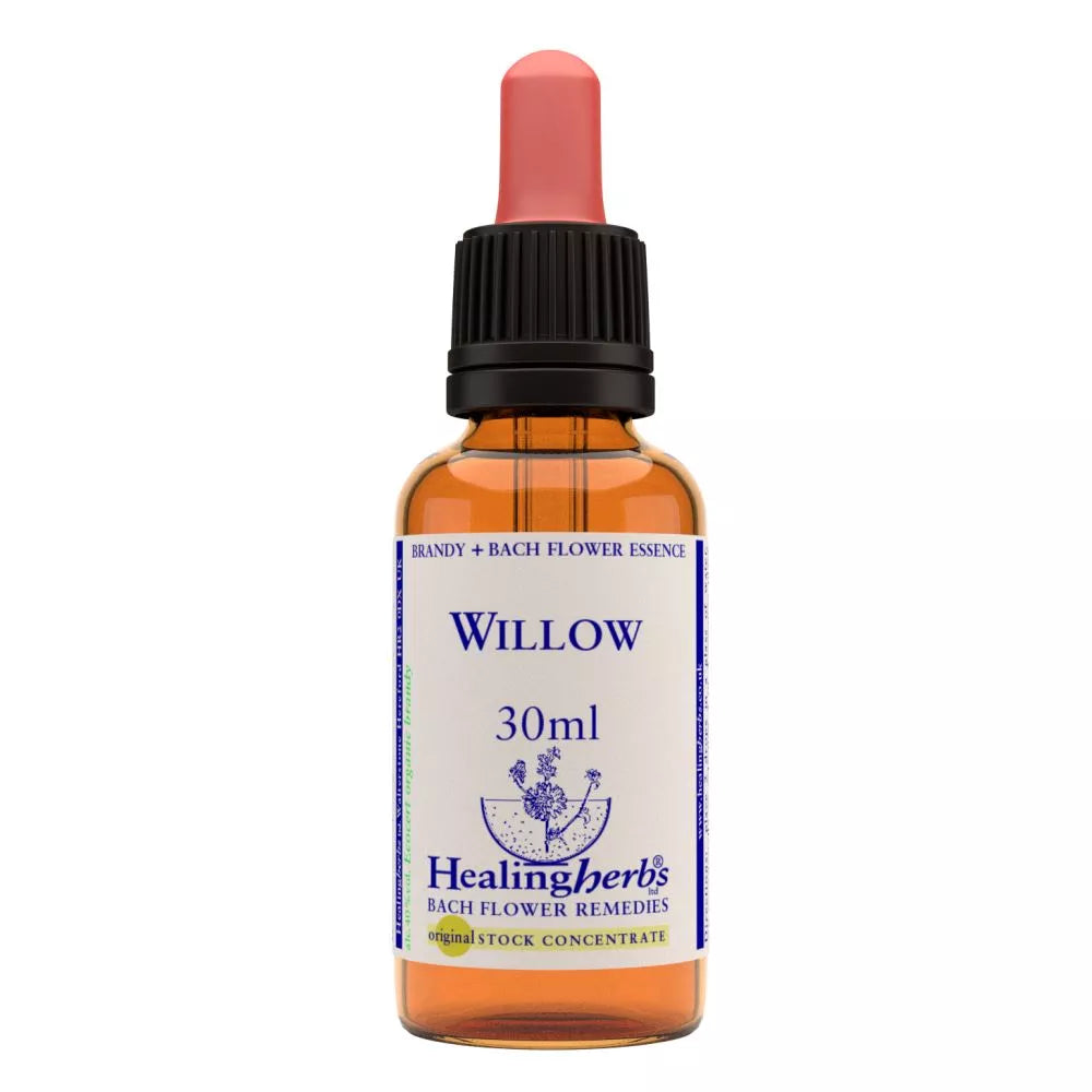 Healing Herbs Willow
