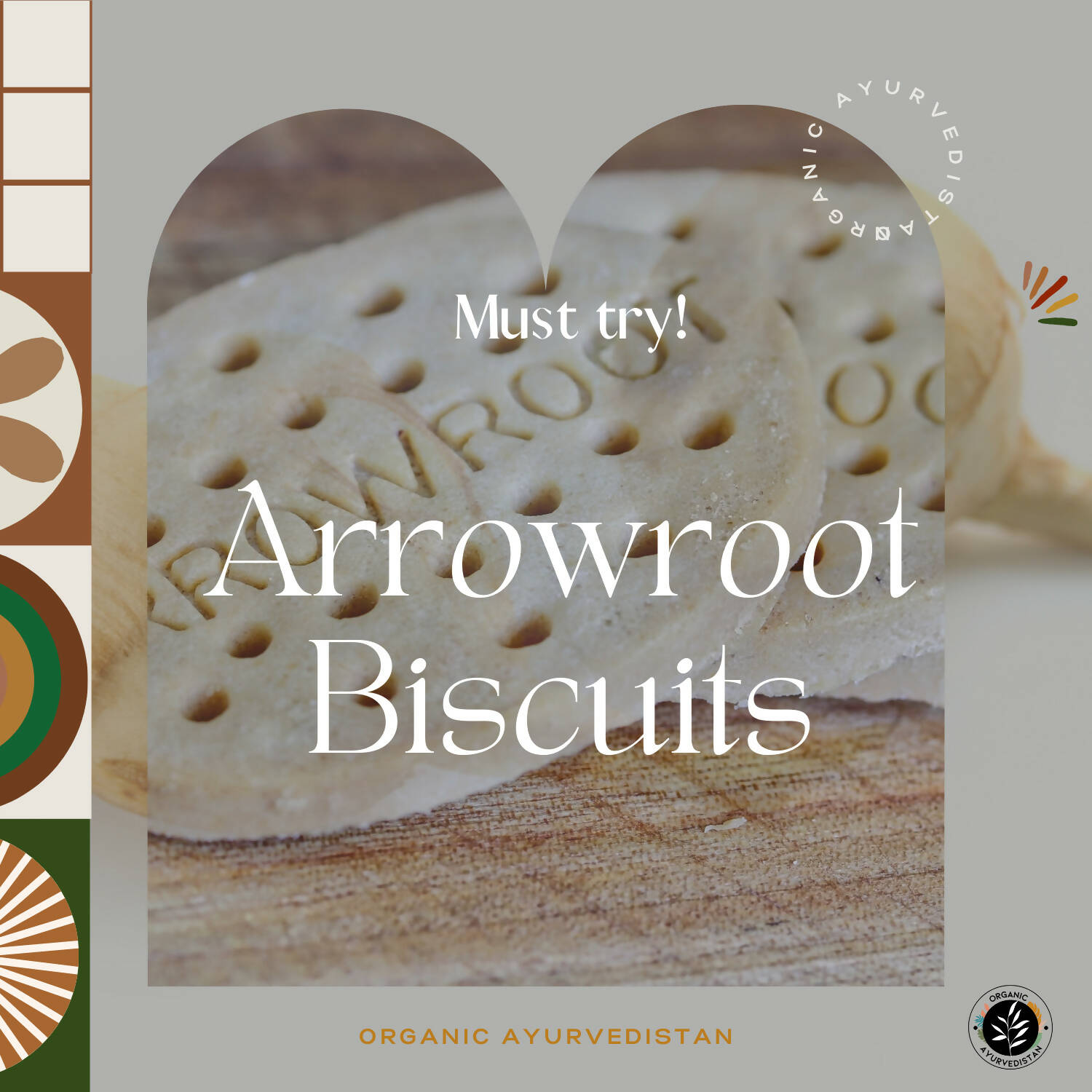 Organic Ayurveprithvin Arrow Root Powder