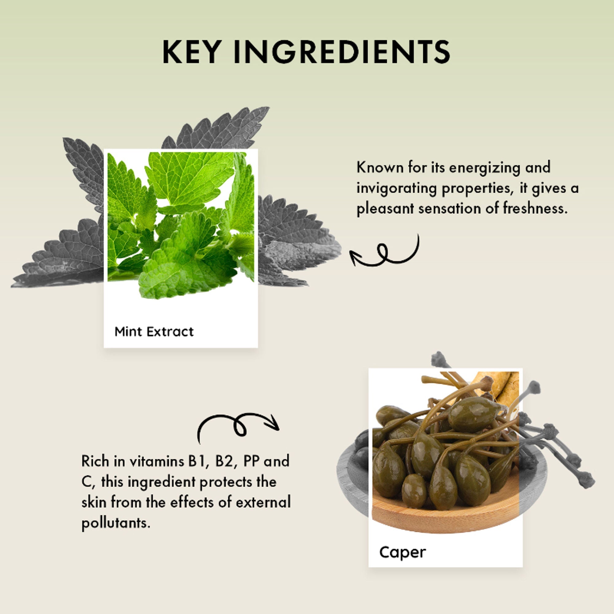 Naturica Energizing Miracle Treatment for Thin Hair, Reduce Fiber Loss with Caper & Ginseng Extract