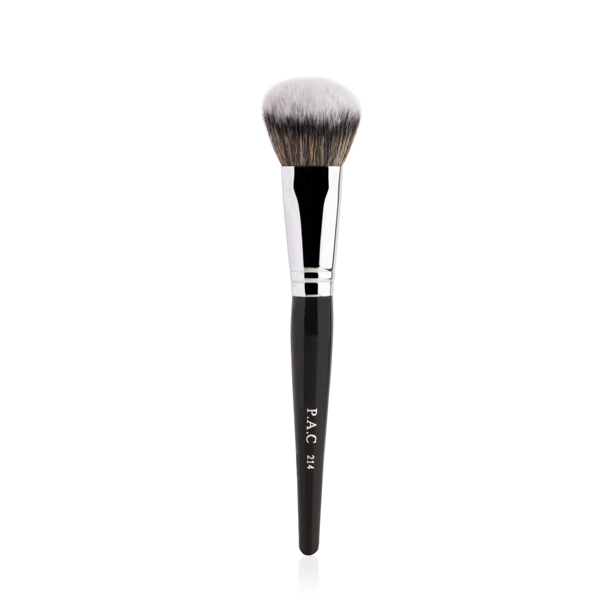 PAC Studio Spotlight Blush and Brush Combo