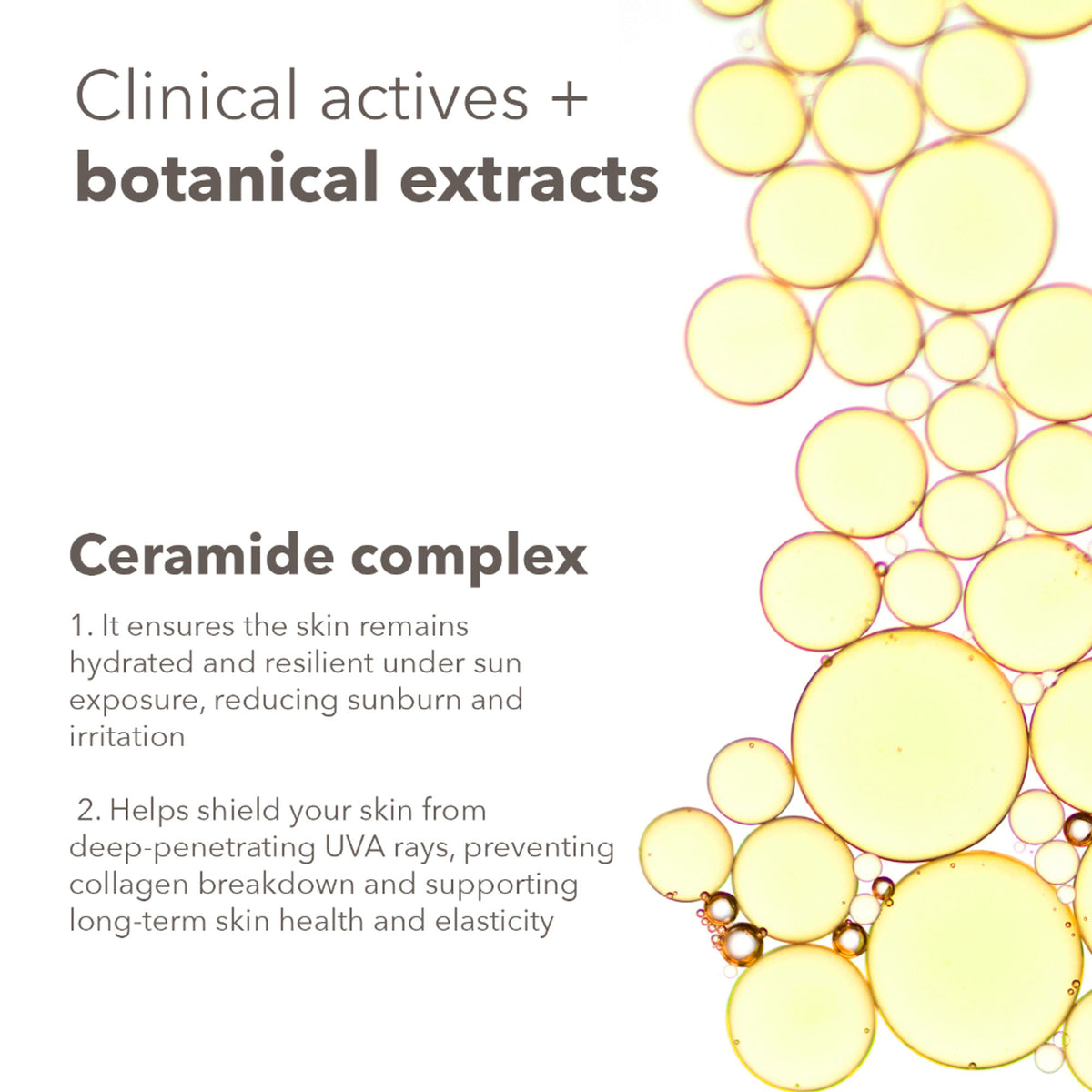 Lotus DermaBotanics 3% Vitamin C Complex + Ceramide Complex UV Aqua Sunscreen Spray SPF 50 + PA++++