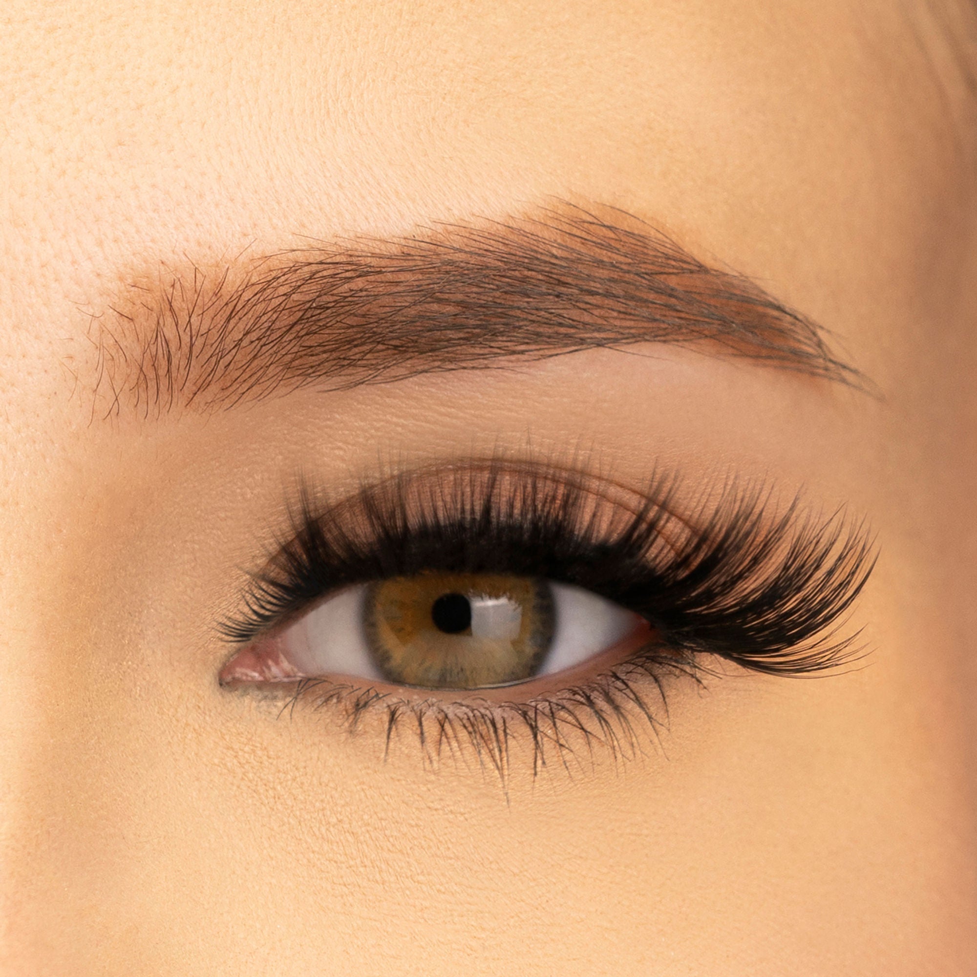 PAC Studio Ace Of Lashes - Big Blind