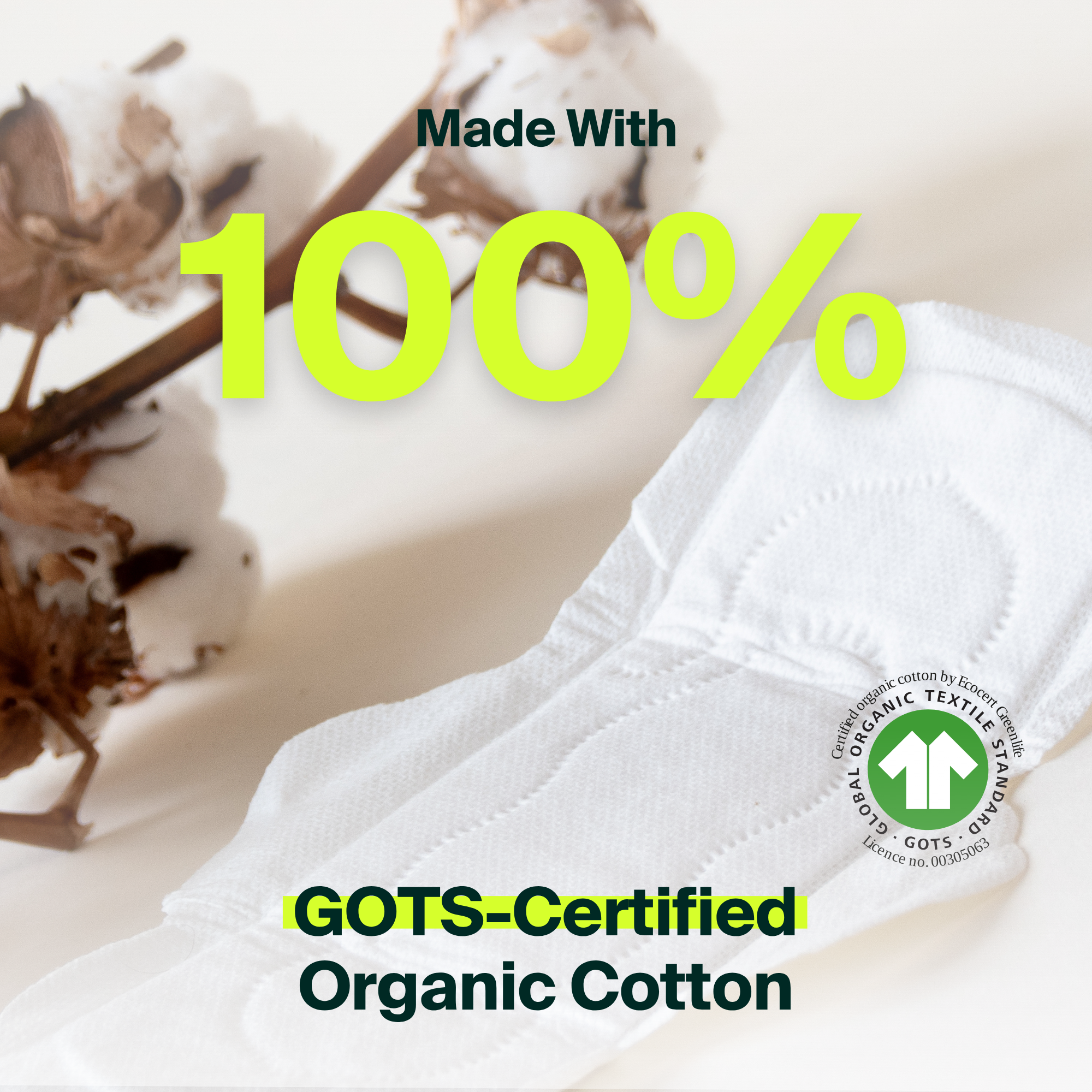 100% Organic Cotton Regural Pads - Bulk (100)