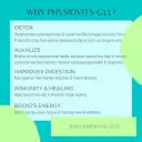 Physiovits G-11 Supergreens - Mint Flavour