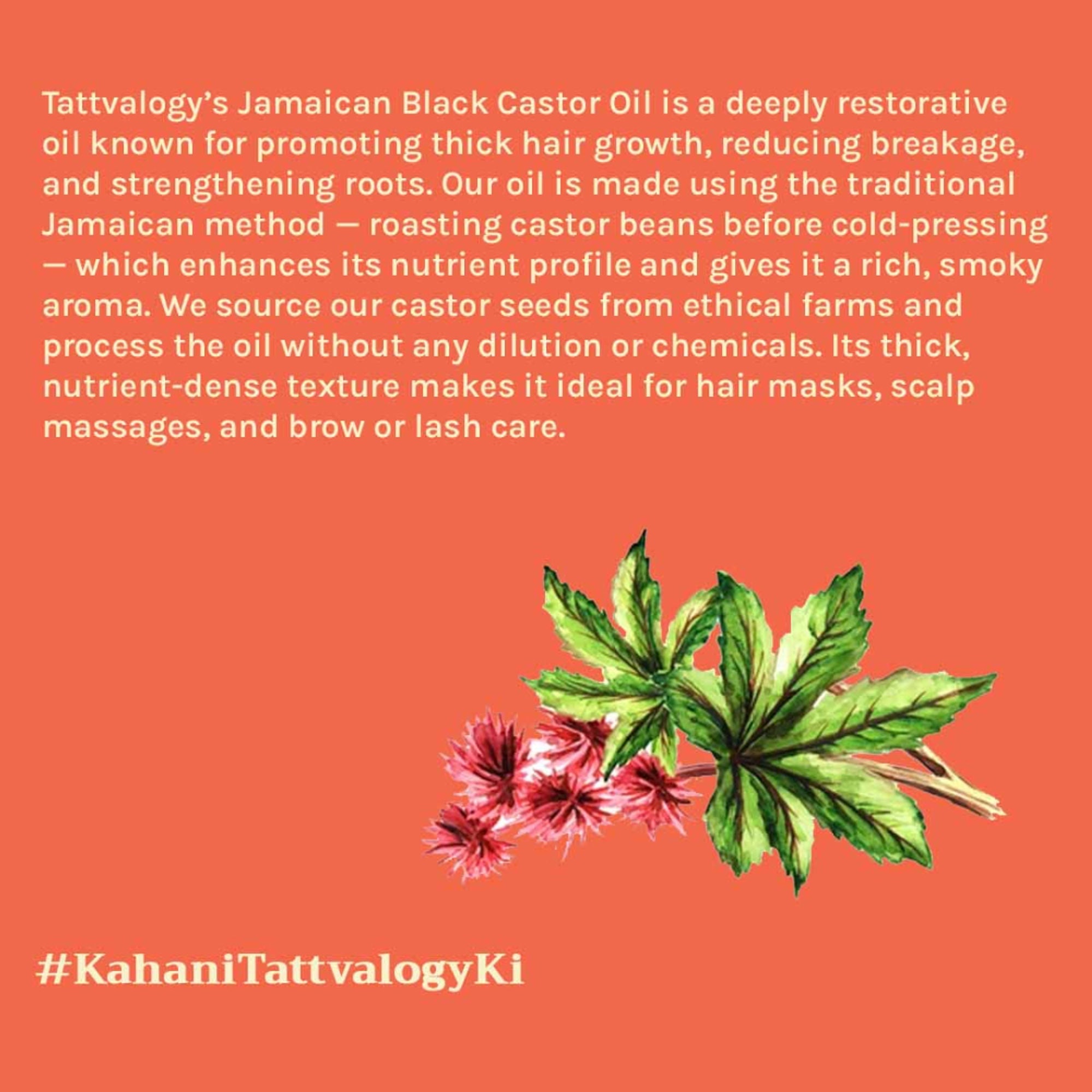 Tattvalogy Jamaican Black Castor Oil-Traditional Recipe, Boosts Hair Volume, Perfect for Curly Hair