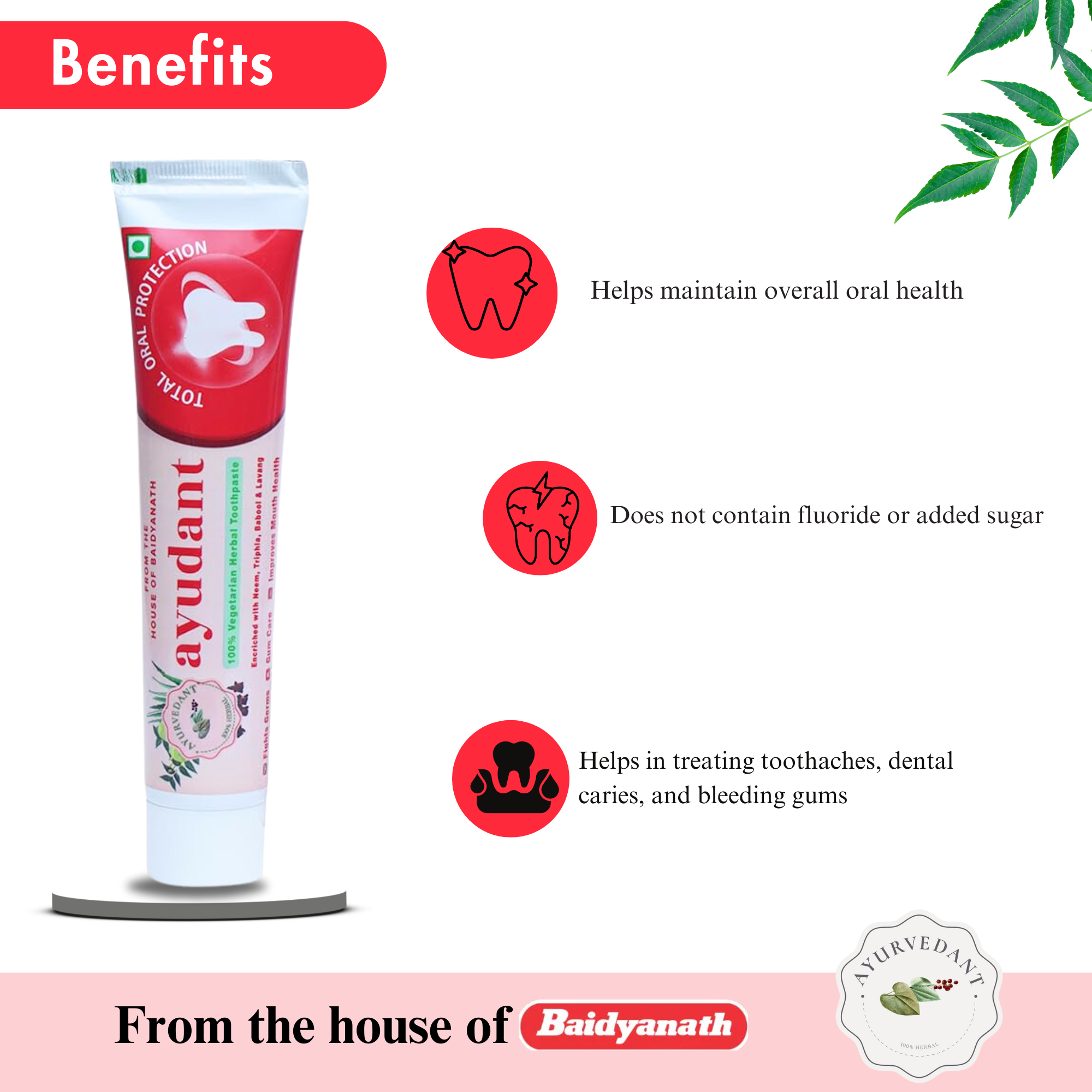 Ayurvedant Ayudant Toothpaste - Image 2