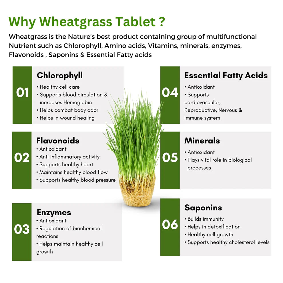 Dr Mantra Wheatgrass Tablets Superfood for Daily Detox| 60 Tablets
