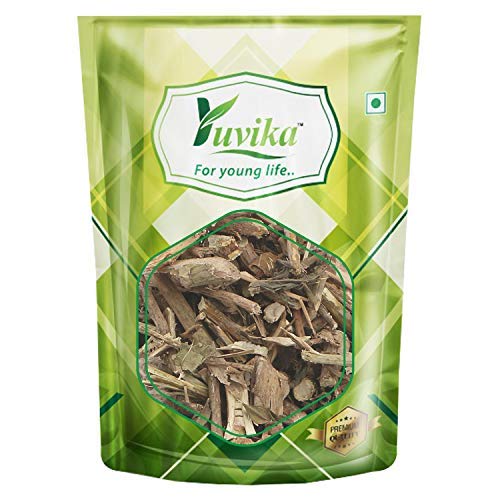Yuvika Bansa Kala - Adhatoda Vasica Nees - Malabar Nut Tree