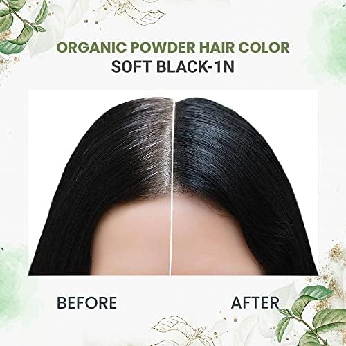 byPureNaturals Organic Pure Natural Powder Hair Color - 2N Soft Black