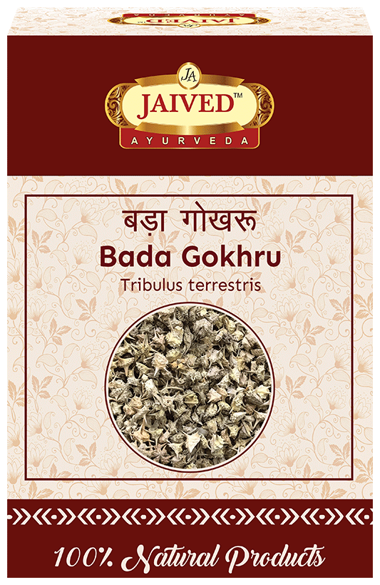 Jaived Ayurveda Bada Gokhru