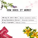 Bodywise PMS Gummies For Pain Free Periods | Mood Swings, Cramps, Hormonal Imbalance (60 Tablets)