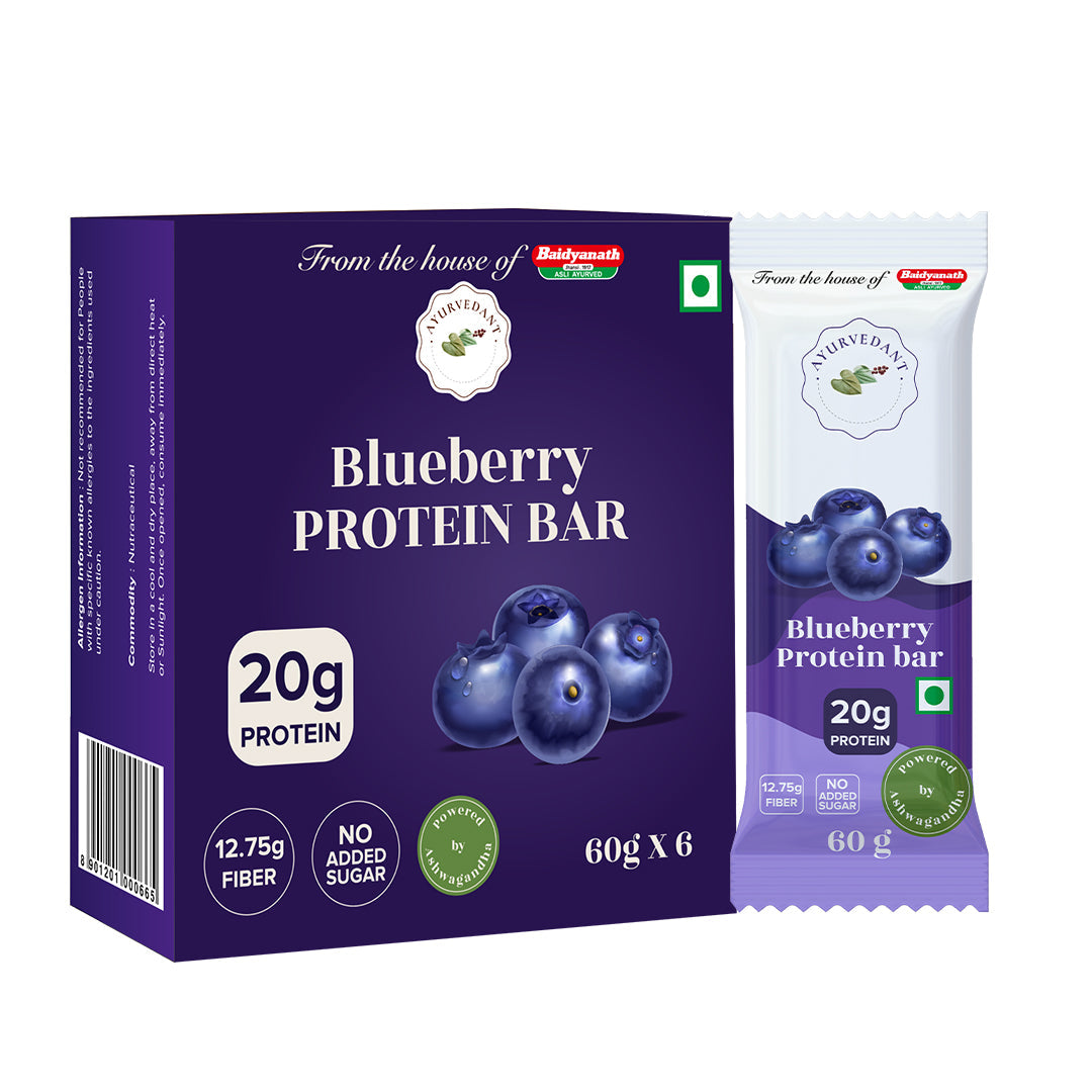 Ayurvedant Blueberry Protein Bars Pack of-6 - Image 1