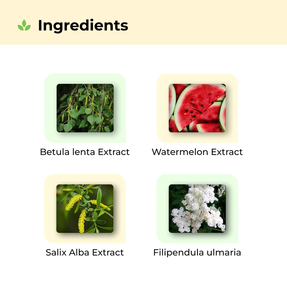 avimee herbal Keshpallav Hair Oil and Scalptone Hair Growth Serum, Super Saver Combo