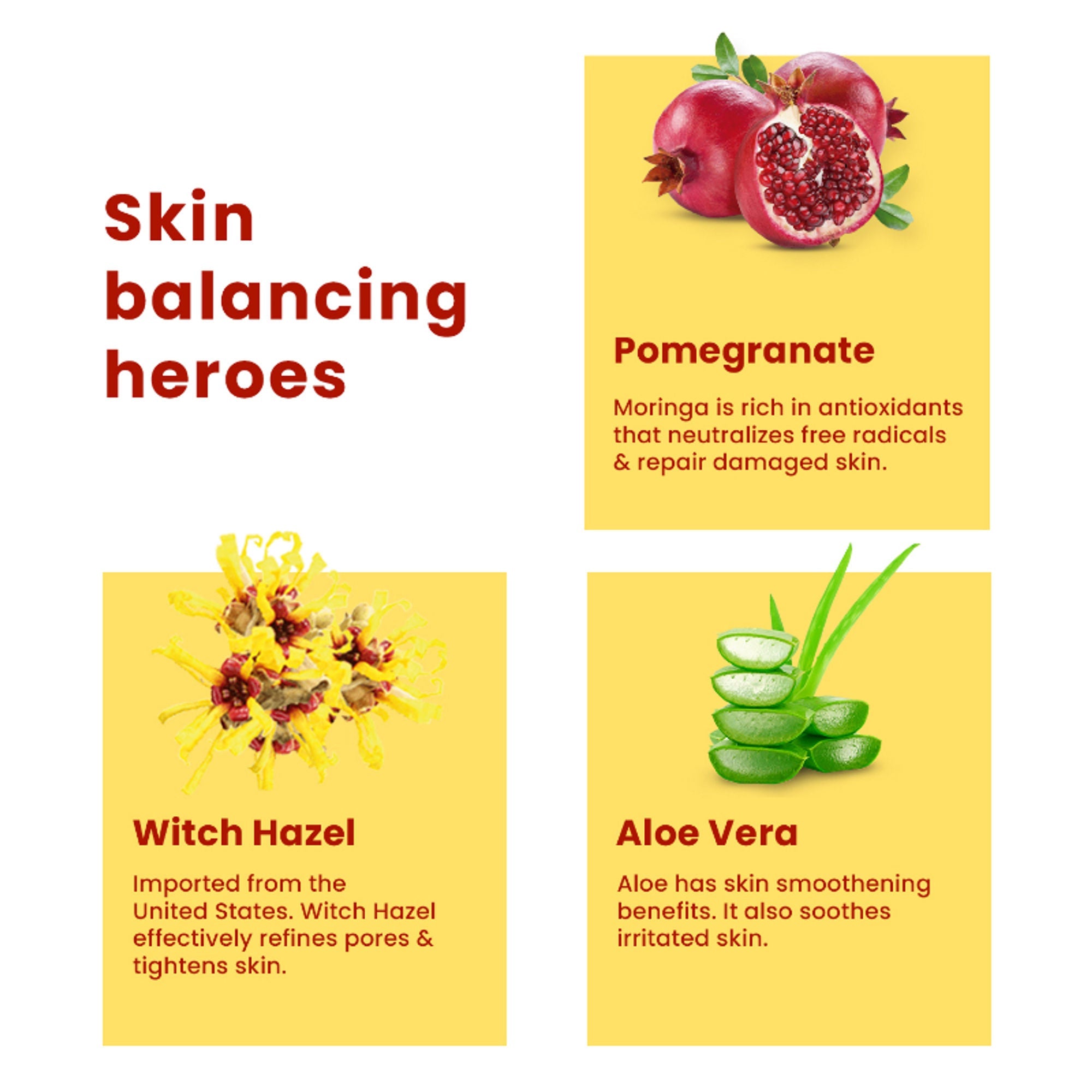 The Skin Story Water-like Hydrating Face Toner For Oily Acne Prone Skin With AloeVera