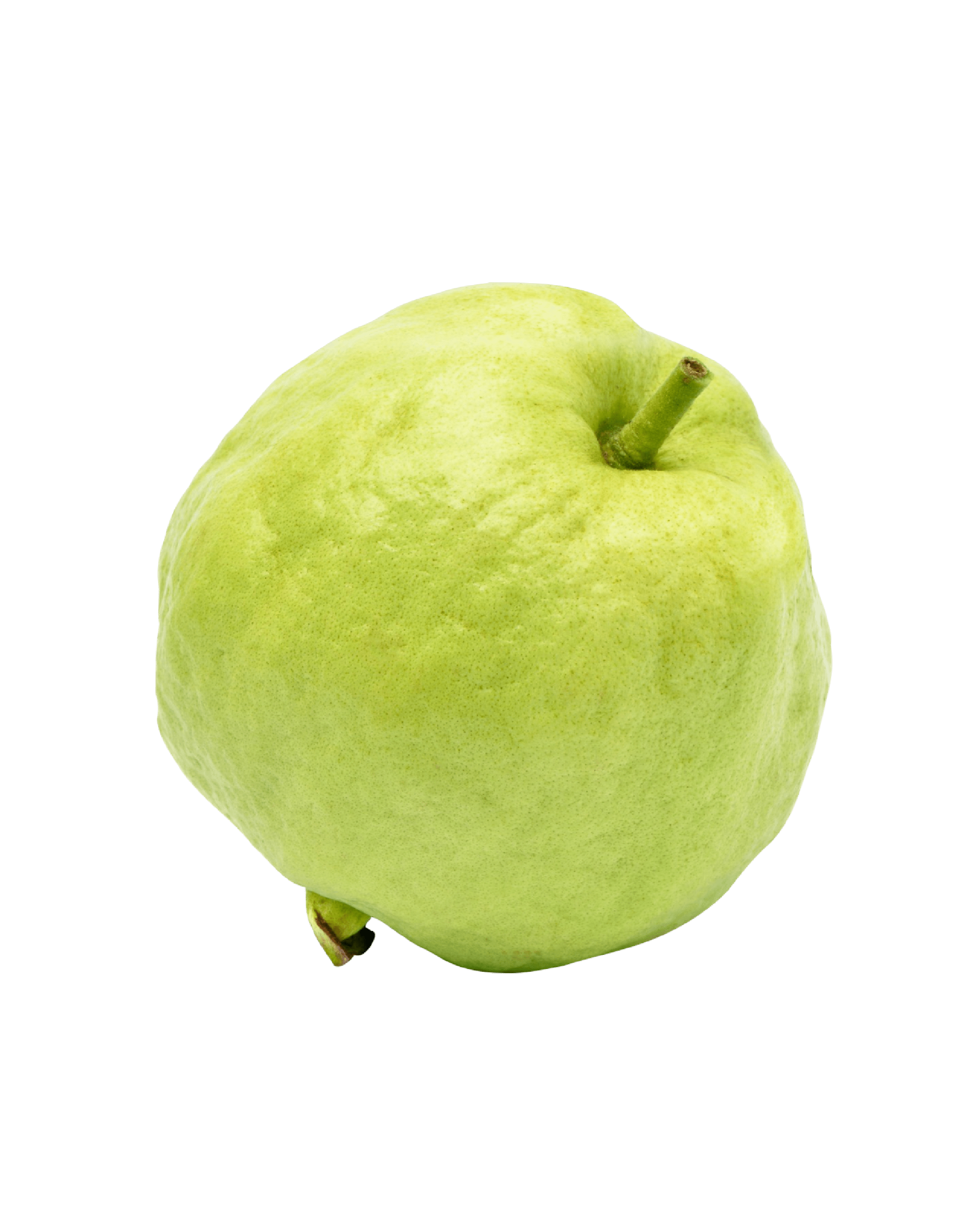Amrood (Guava)