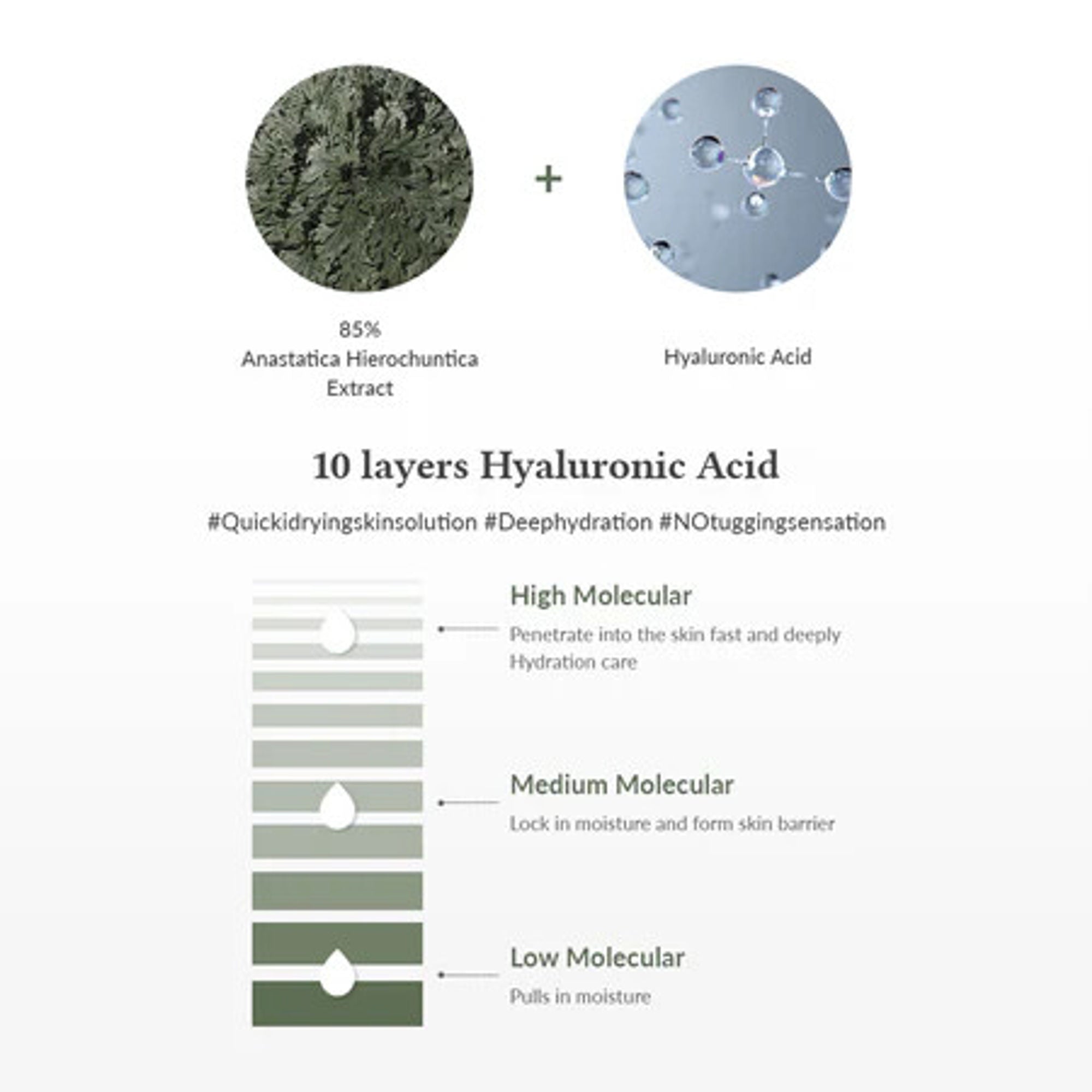 Dr.Althea Resurrection Plant Conditioning Toner: Hydrating & Skin Barrier Repair Toner