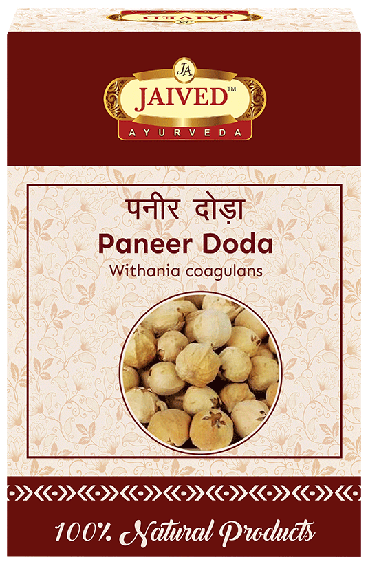 Jaived Ayurveda Paneer Doda