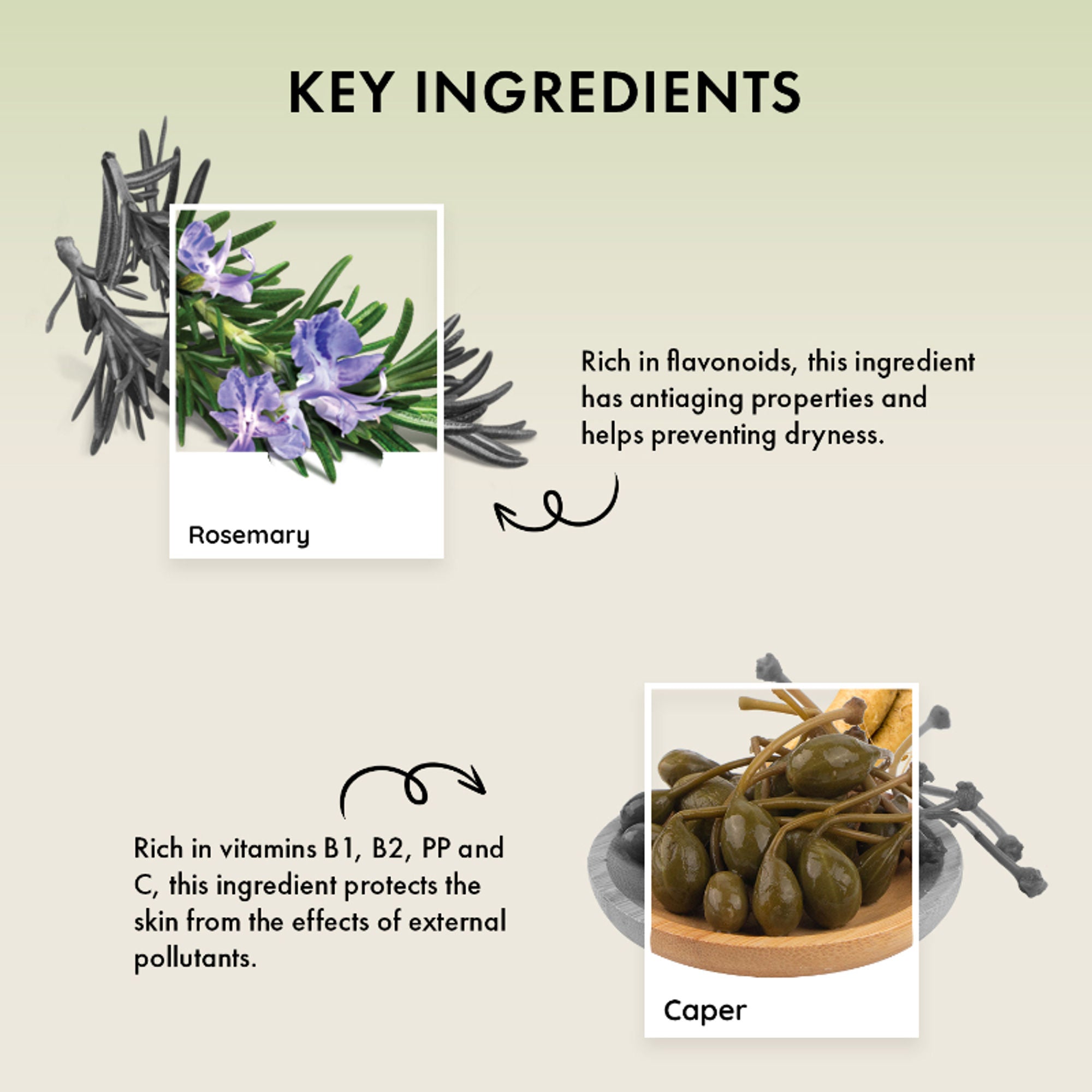 Naturica Detoxifying Comfort Anti-Pollution Shampoo for All Hair Type, Revitalize with Mint & Caper