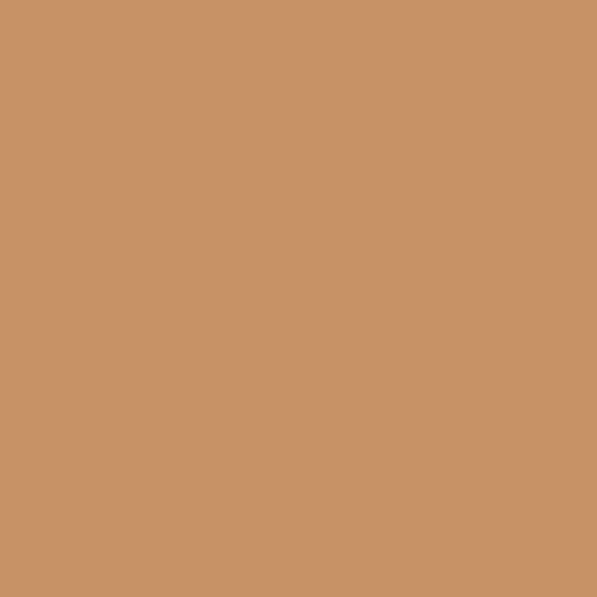 Shopaarel Extra Blend Matte Foundation - 4