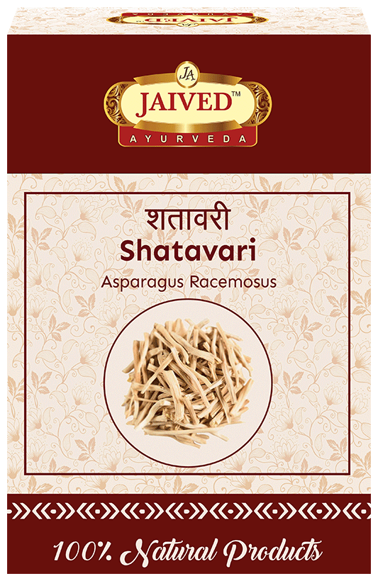 Jaived Ayurveda Shatavari