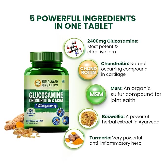 Himalayan Organics Glucosamine Chondroitin & MSM Vegetarian Tablets