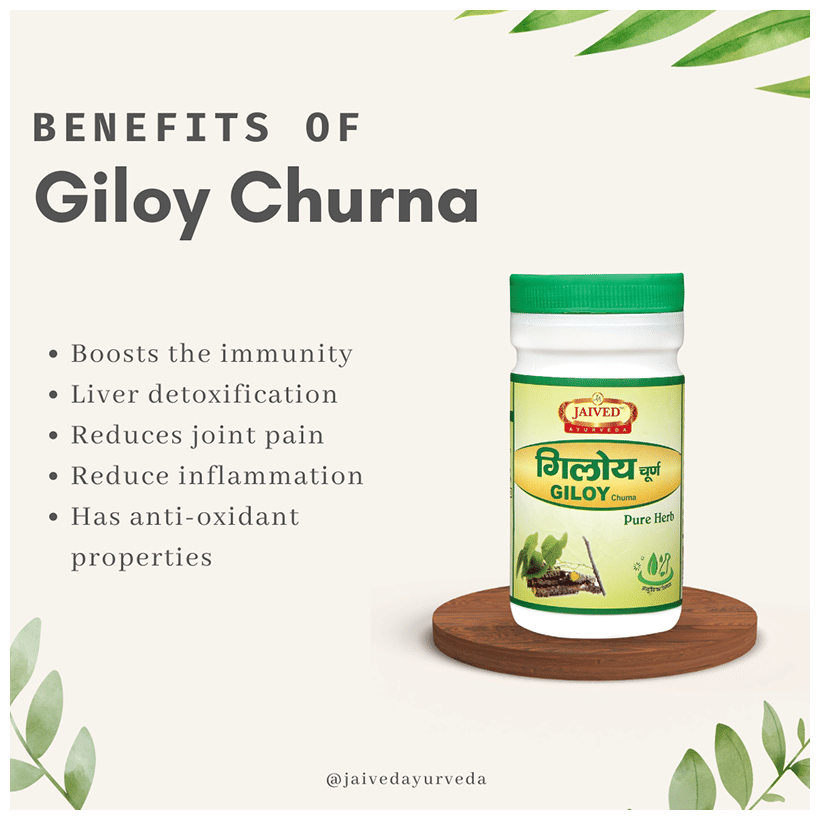 Jaived Ayurveda Giloy Churna