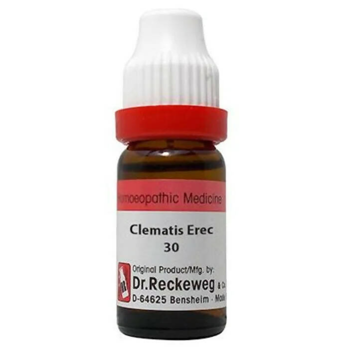 Dr. Reckeweg Clematis Erec Dilution