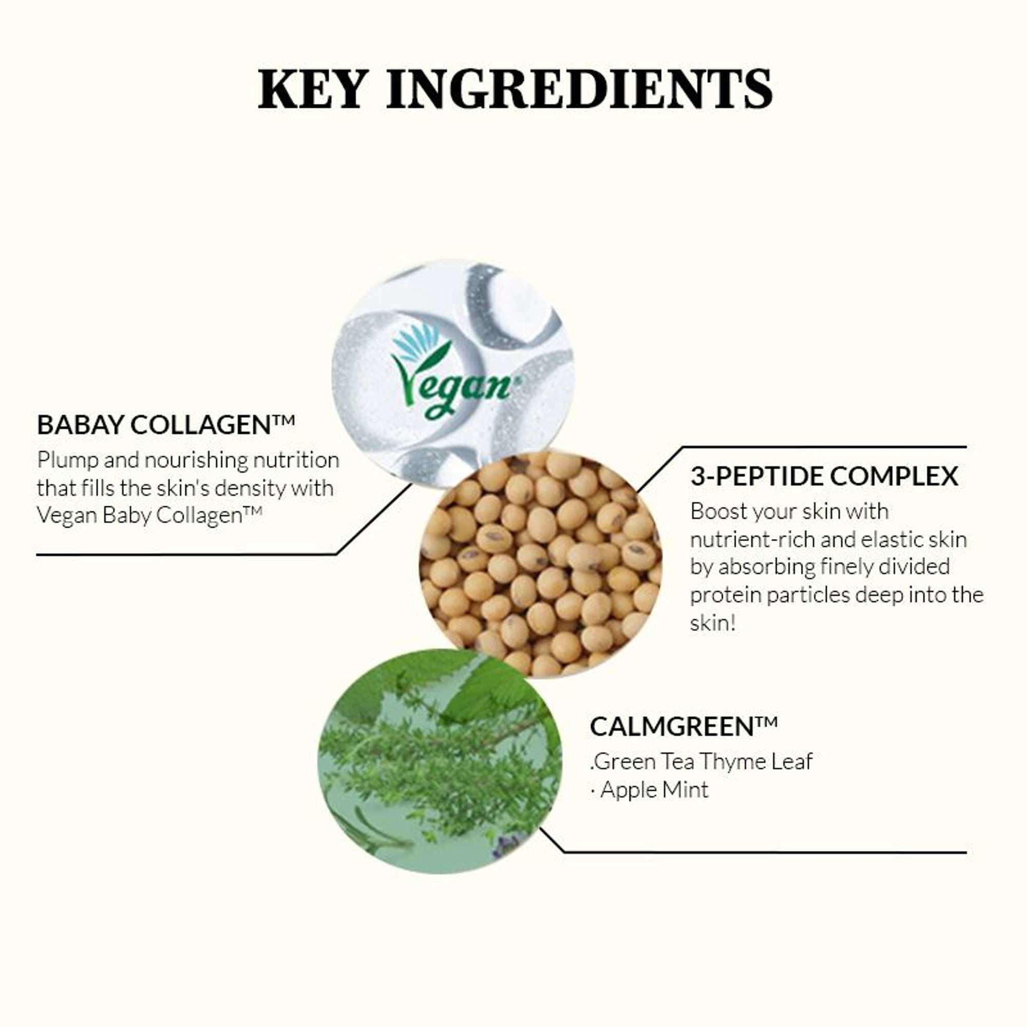 Mixsoon Korean Soybean Milk Serum, Hydrates & Smoothens Dry, Dull Skin with Fermented Soy Proteins