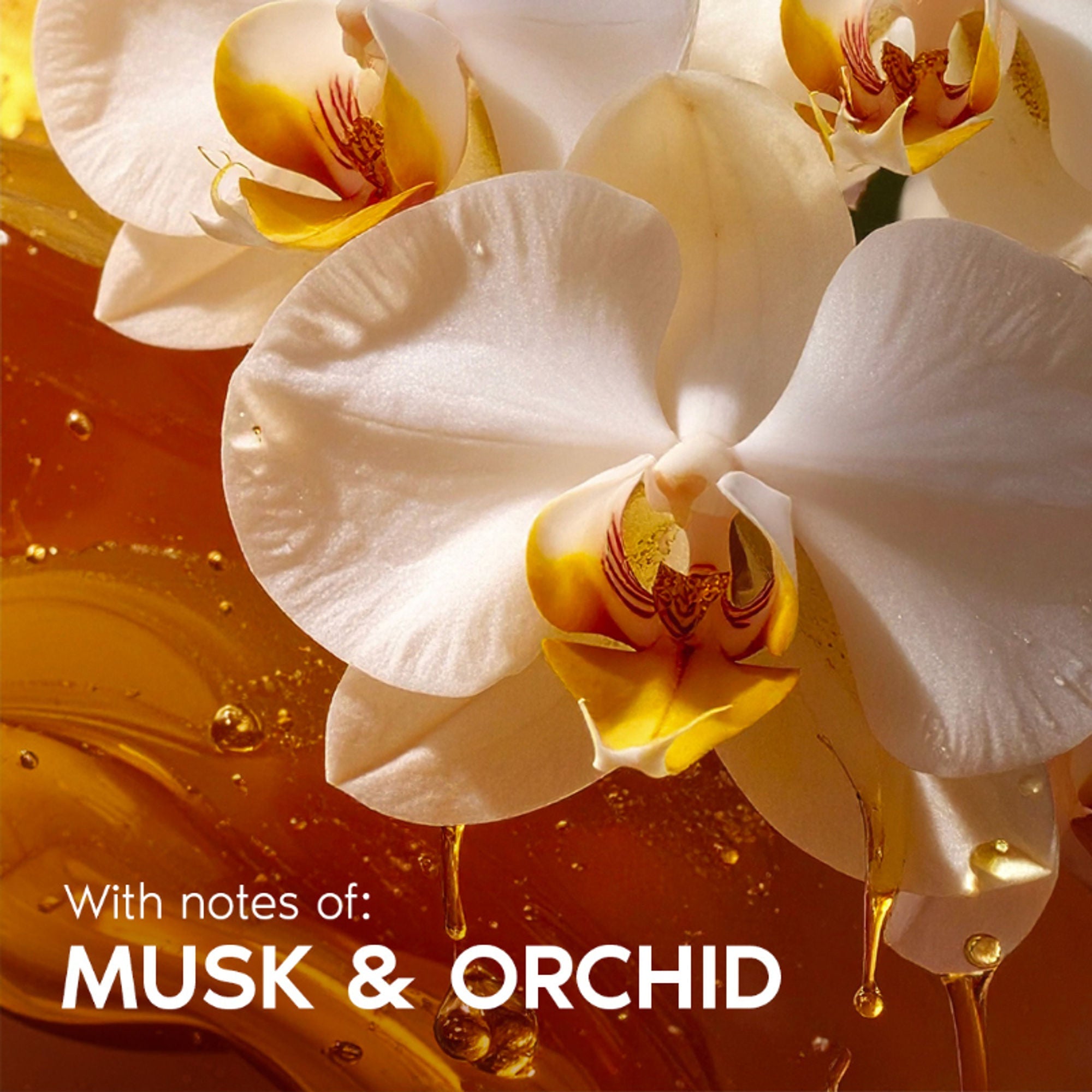 Wanderlust Moisturizing Body Lotion - Midnight In New York