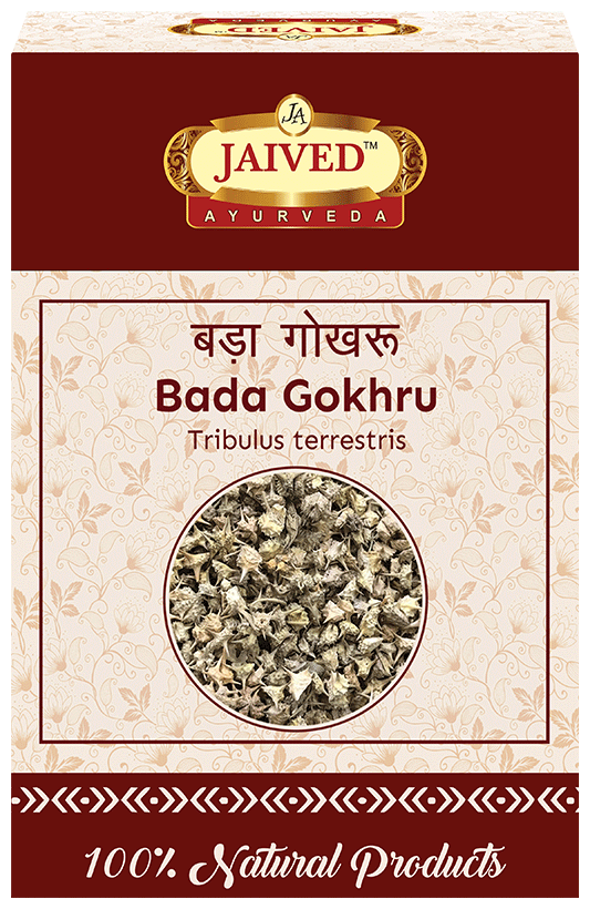 Jaived Ayurveda Bada Gokhru
