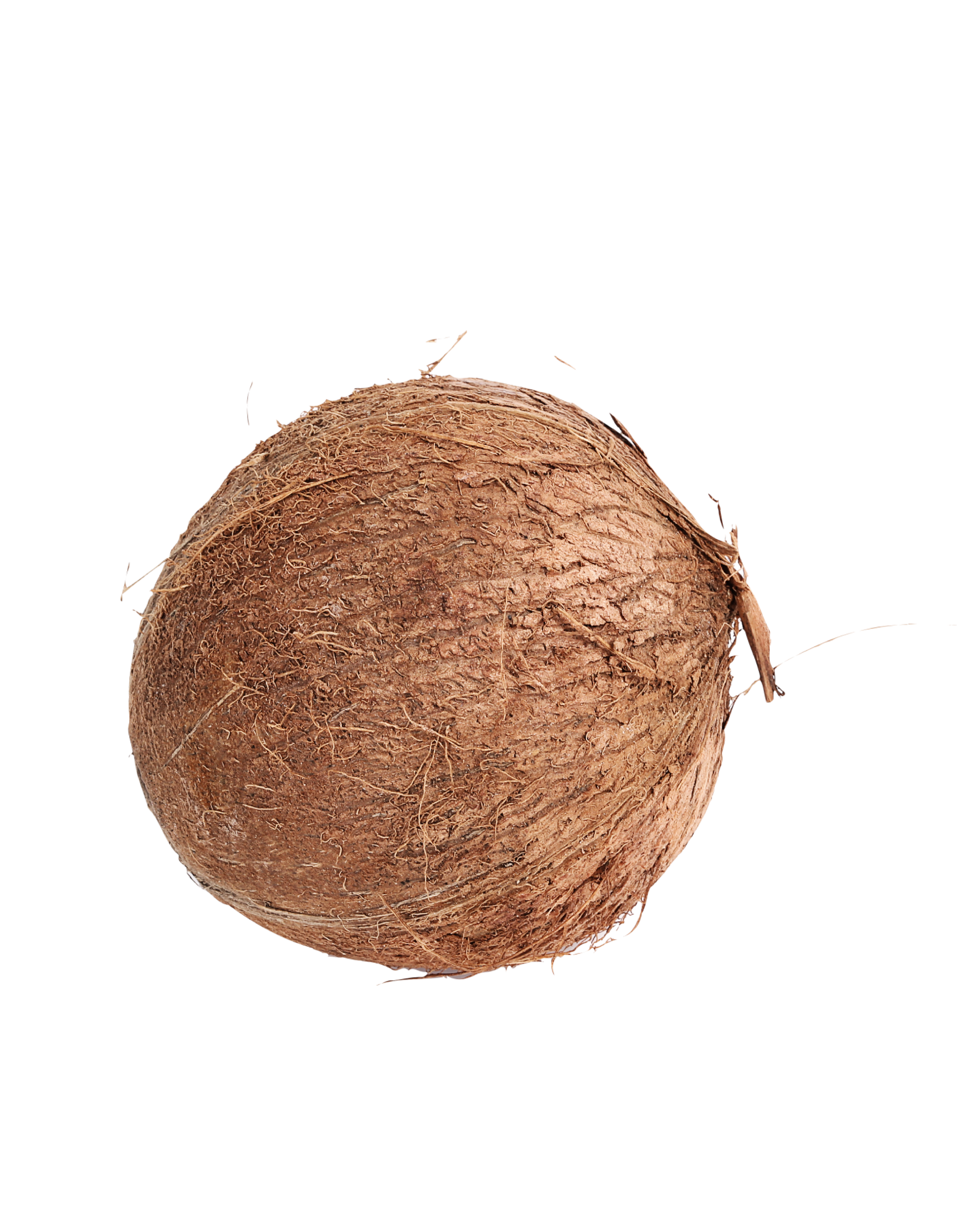 Pooja Coconut